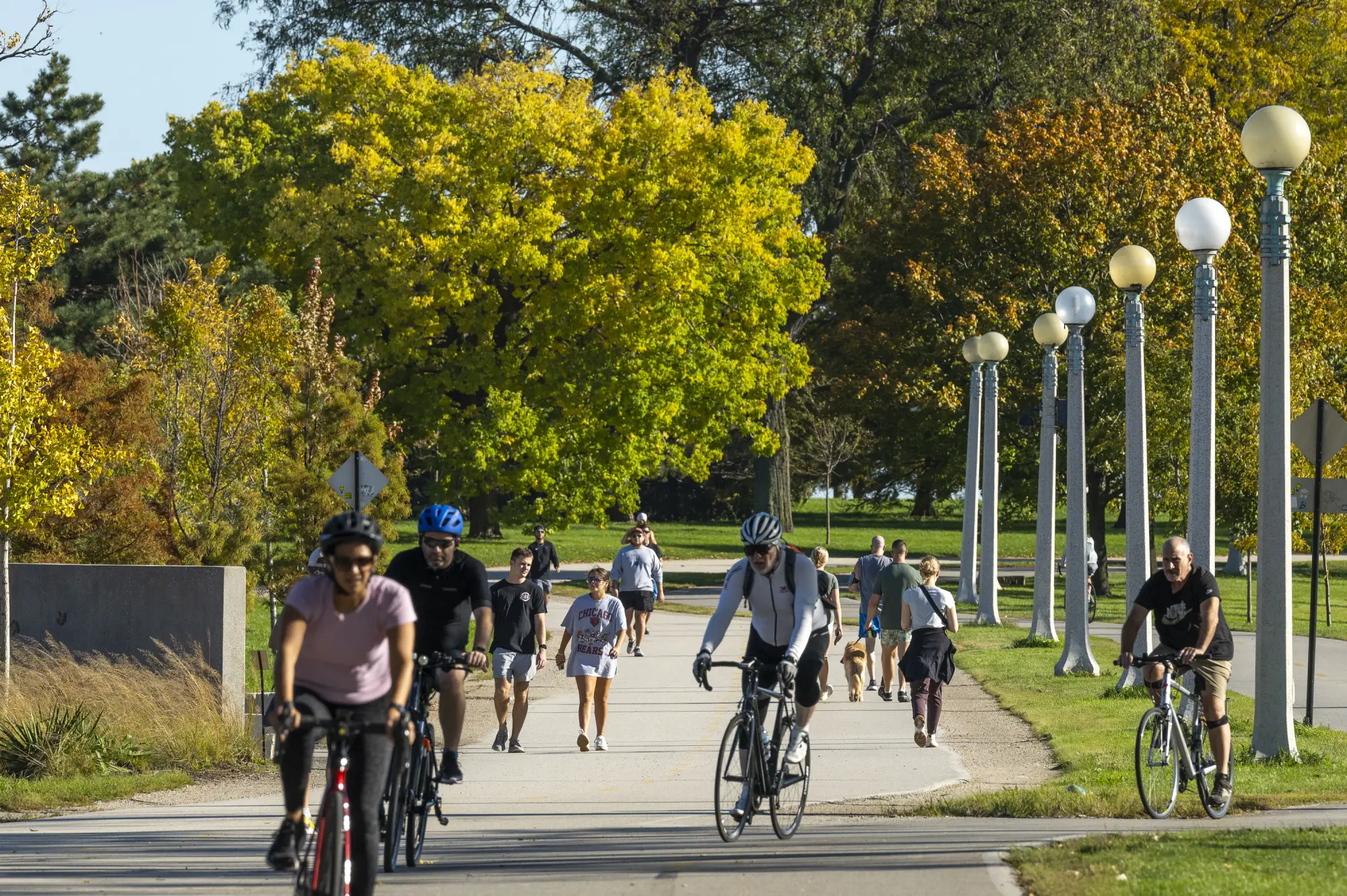 people on bikes 